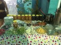 Zeytin Çiçeği Pansiyon Hotels in Geyikli Belediyesi