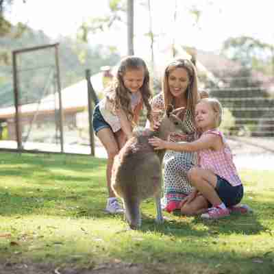 Sea World Resort Hotel Exterior