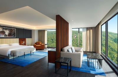 Regency, Suite Hyatt Regency Dehradun Photo