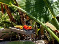 Anas Kiti Seaside Villa Hotels in Perivolia