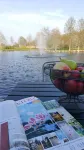 Åmund Vin & Fruktgård - Homestays