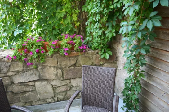 Hotel Petr Hotels in 