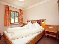 Apartment in Kleinarl Near Ski Slopes Hotels in Kleinarl