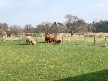 Orchard House Lodges by Ecohuman Отели в г. Галлейн
