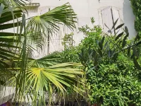 Le Clos des Consuls Hotels in Tarascon