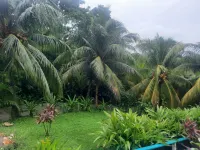 Guava Grove Resort & Villas