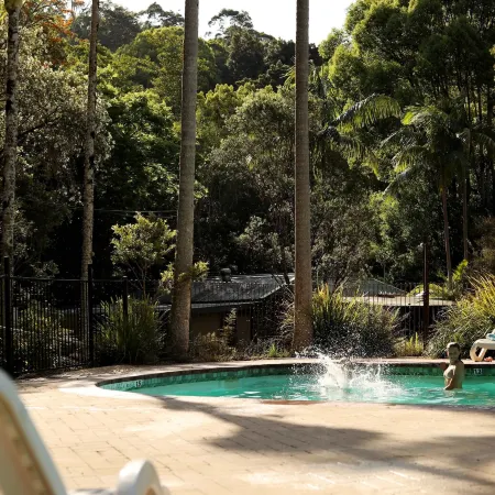 Mt Warning Rainforest Park