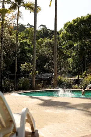 Mt Warning Rainforest Park