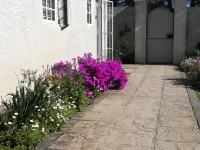 AppleBee Guest Cottages Hotels in Grahamstown