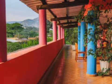 Aparthotel Jardin Tropical Hotels in Rohero