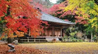 Resorpia Beppu