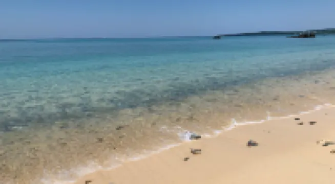 Hotel & Restaurant on the Beach Lue