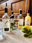 Villa Tosca - Volterra, Tuscany - bar