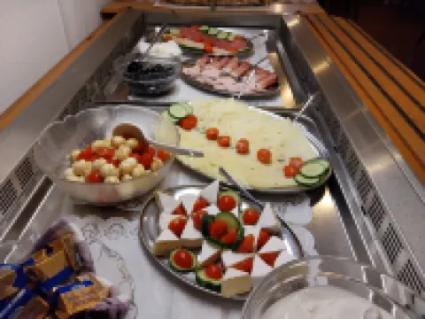 弗裏德伯格湖酒店 艾夏赫-費里德貝格縣酒店