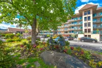 Arbors at Island Landing Hotel & Suites - WiFi