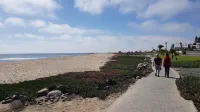 Organic Stay Guesthouse - Beach