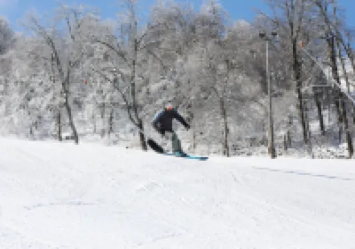 Seven Springs 1 Bedroom Deluxe Condo, Pet Friendly! - Holiday Apartments