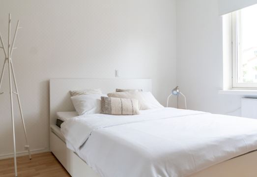 1. 로토타사리의 1..