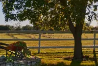 Enduring Heart床和早餐公司