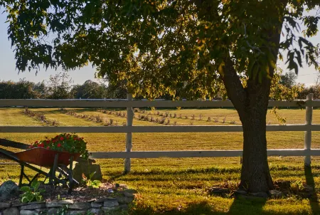 Enduring Heart Bed and Breakfast Inc. Отели рядом с достопримечательностью «King's Lock Craft Distillery»