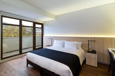 Hotel Altiplanico Bellas Artes Hotel di Santiago