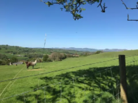 Converted Stone Barn -20 Acres - Farm Animals! Hotels in Corwen