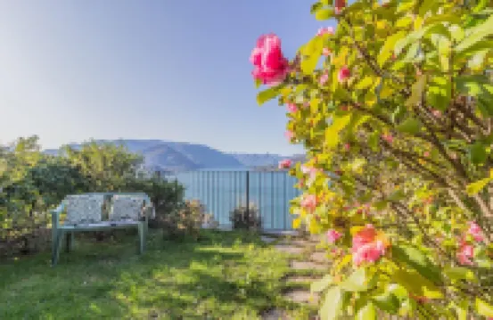 Palma Romantic Dream