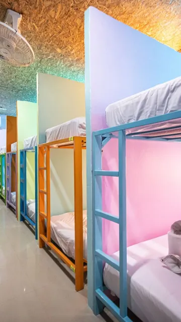 Aircon Dorm Room-Lower Bed: 12 Beds (Sharing Facilities)