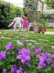 B&B Il Cedro Các khách sạn gần Oratorio Della Nunziatella
