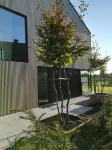 B&B De Stuifduinen