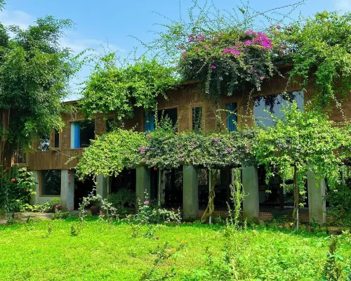 Tuyet's Homestay Zimmer Photos