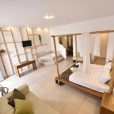 Queen Elegant Suites