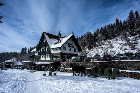 Lobogo Resort Отели в г. Одорхею-Секуйеск