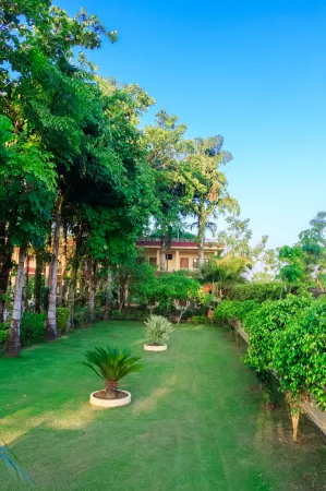 Hotel Rainforest
