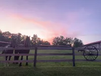 Big South Fork Lodge - Homestays