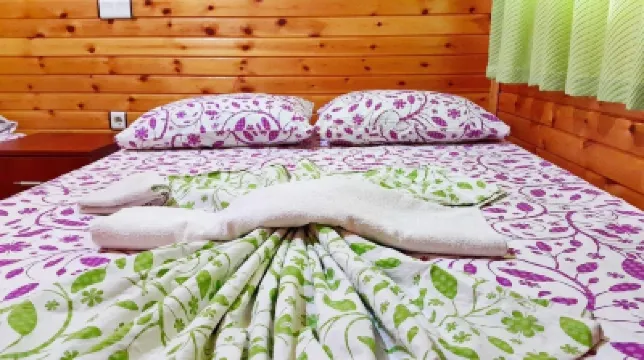 Olympos Tatilya Pansiyon Hotels near Cirali Beach