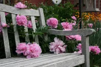 Williamsburg Manor B&B Hotels in Surry