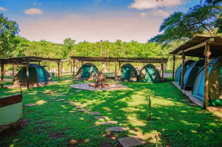 Great Zimbabwe Hotel