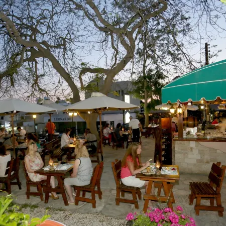 Dionysos Central