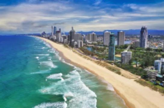 ชิโดรี คอร์ท