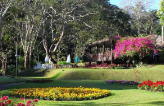 Mae Sa Valley Farm Stay Resort