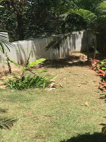 รูปภาพของซีวิววิลล่า เอสปรี 3 ห้องนอน เอสดีวี087 บาย สมุย ดรีม วิลล่า