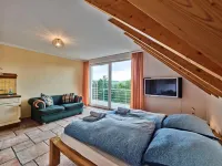 Holiday Home in Hellenthal with Sauna