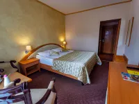 Hotel Belvedere Hotels in Predeal