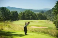 Stonewall Resort Hotels in Lewis County