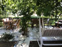 Pekcan Otel Hotels in 