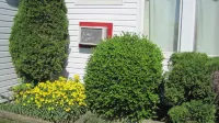Rosecourt Motel