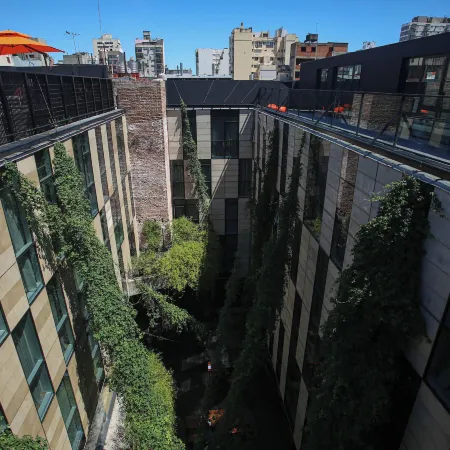 Anselmo Buenos Aires, Curio Collection by Hilton