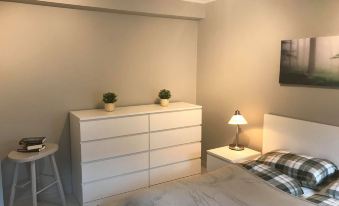 Notodden Sentrum Apartment No 2