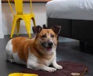 B&B Hotel São Paulo Luz - Centro